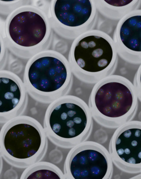 The Genetics of Glycosylation: How Much of Your Glycan Profile Is Inherited vs Modifiable?