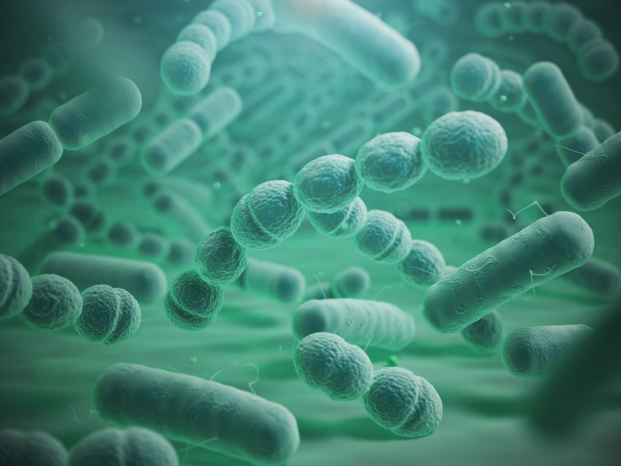 How the Microbiome Shapes Glycan Expression — and Your Inflammation Profile