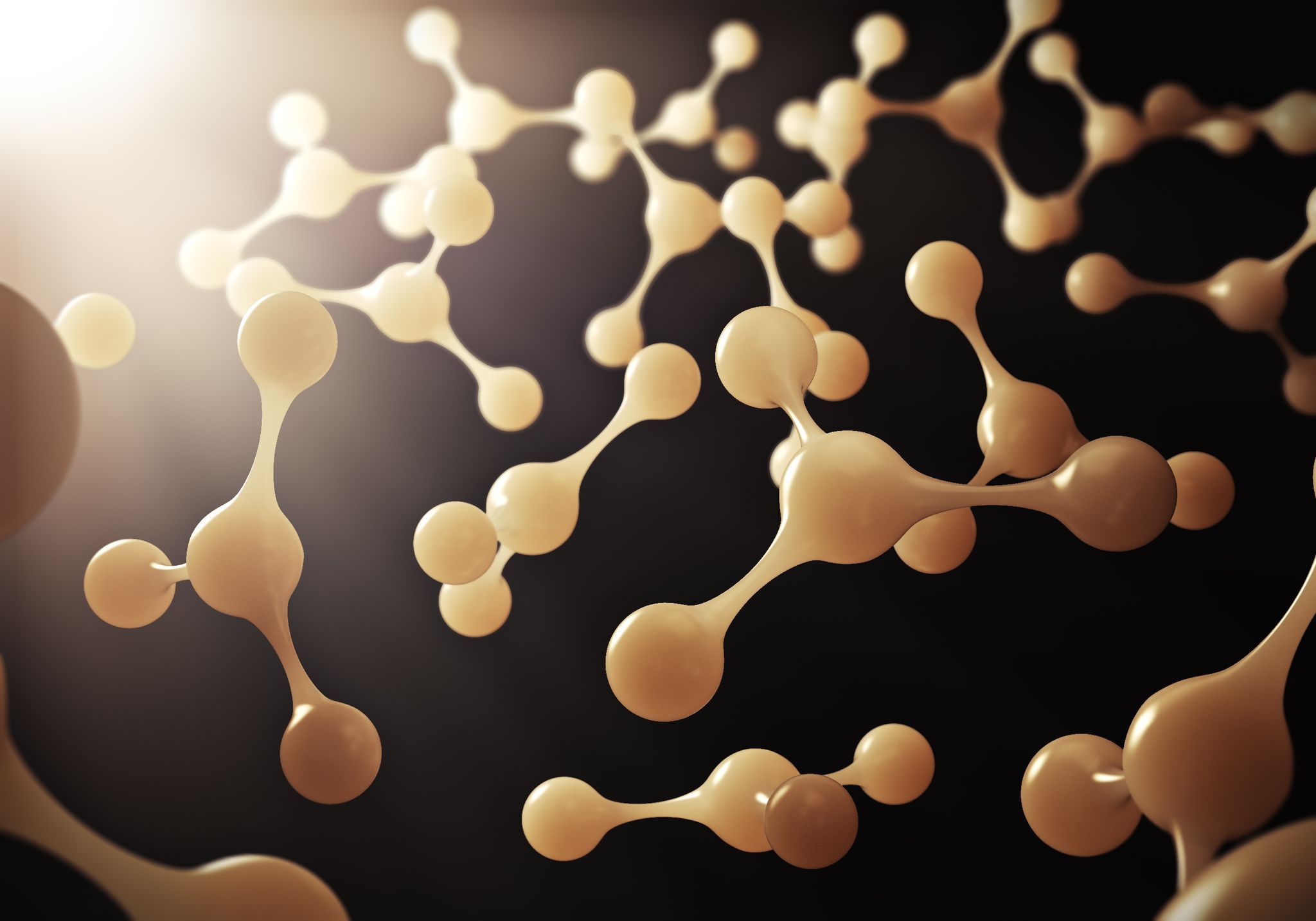N-Glycans vs O-Glycans: The Two Main Types of Glycosylation and What Each Tells You About Health