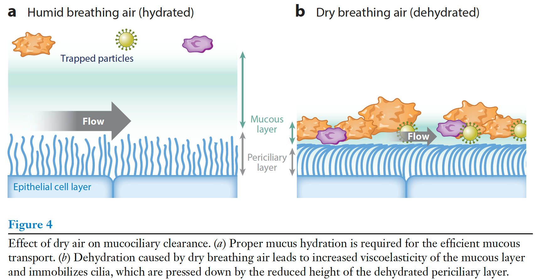 A close up of a flowerDescription automatically generated