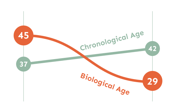 Graph showing how GlycanAge changes through time