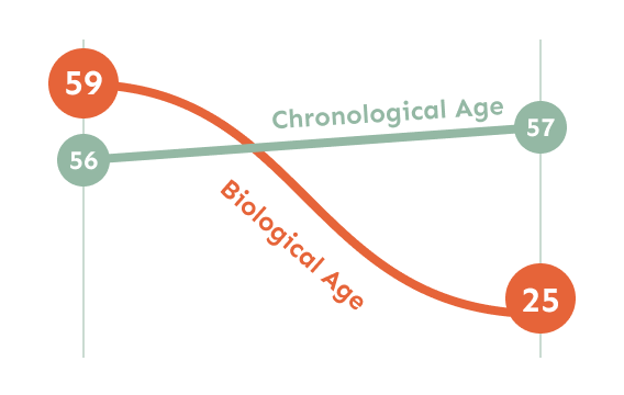 Graph showing how GlycanAge changes through time