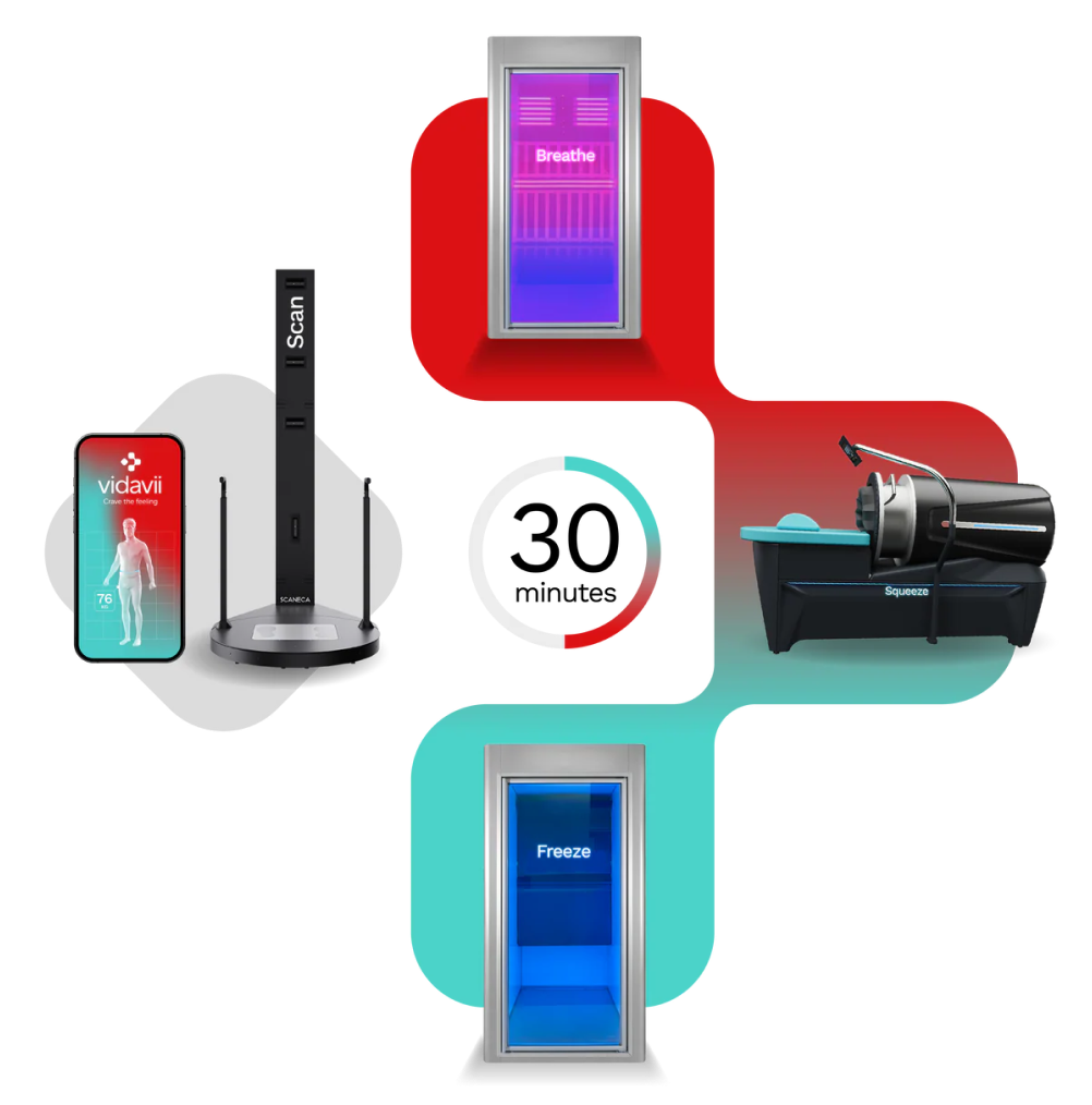 The Vidavii circuit stations